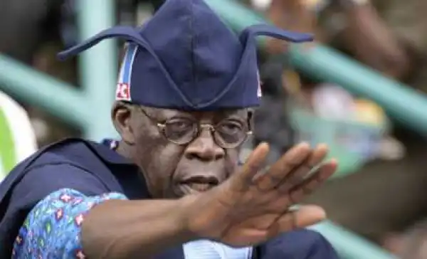Ondo guber: I can support whoever I want – Tinubu replies Aspirant